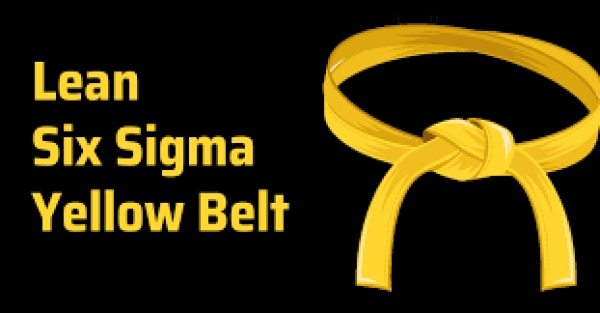 Treinamentos - Yellow Belt