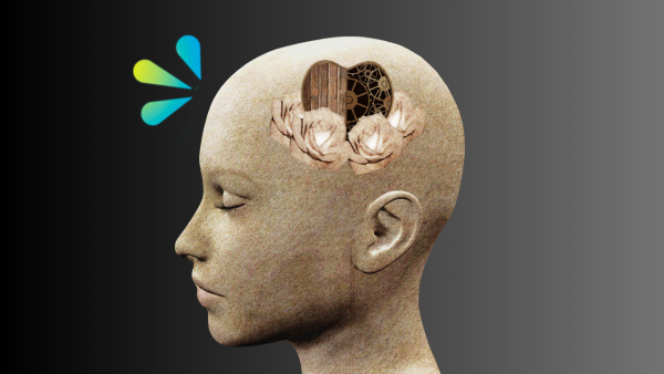 Treinamentos Presenciais 2026